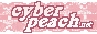 cyberpeach button