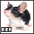 Mice